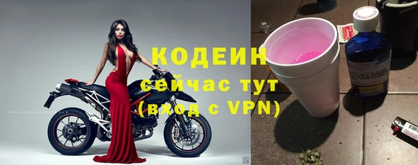 дмт Абаза