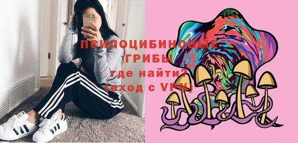 дмт Абаза