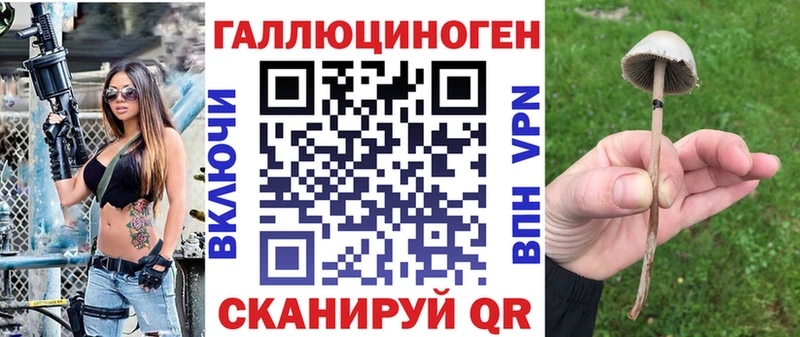 где купить наркотик  Струнино  Псилоцибиновые грибы Magic Shrooms 